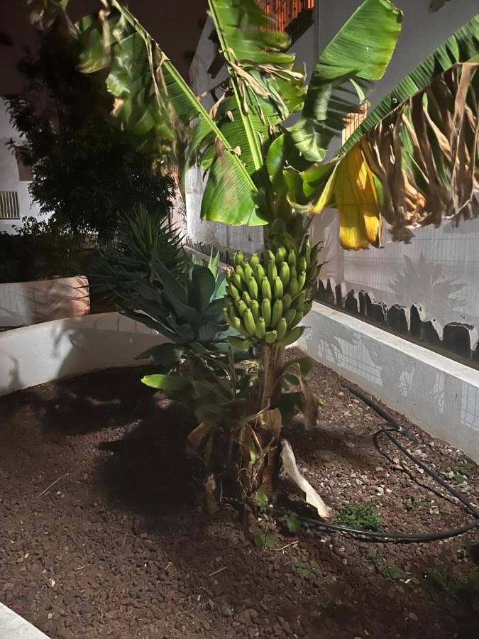 Estudio Costa Del Silencio Chayofita Arona  Eksteriør billede